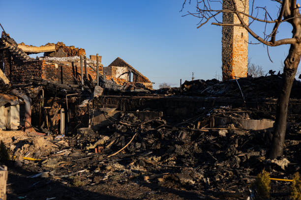 Reliable Emergency Fire Cleanup contractor in Clearwater Beach, FL by Fire Damage Doption